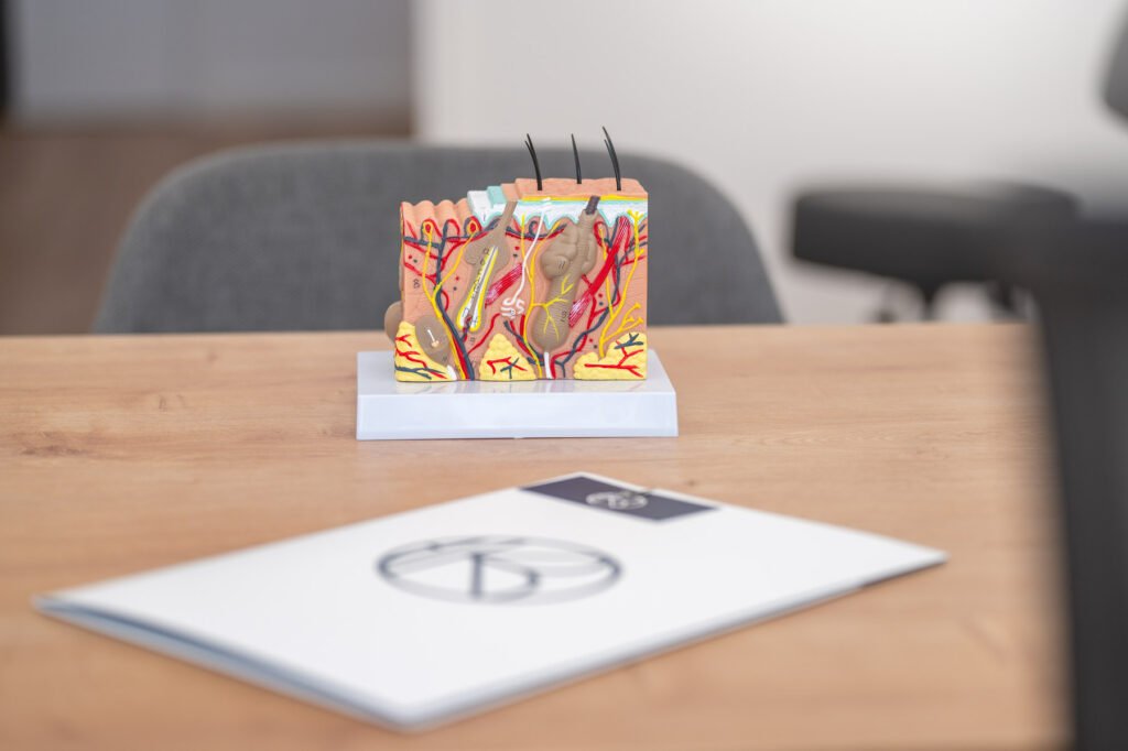 Plan de tratamiento personalizado para pacientes con alopecia Clínica Kbo Capilar Almería